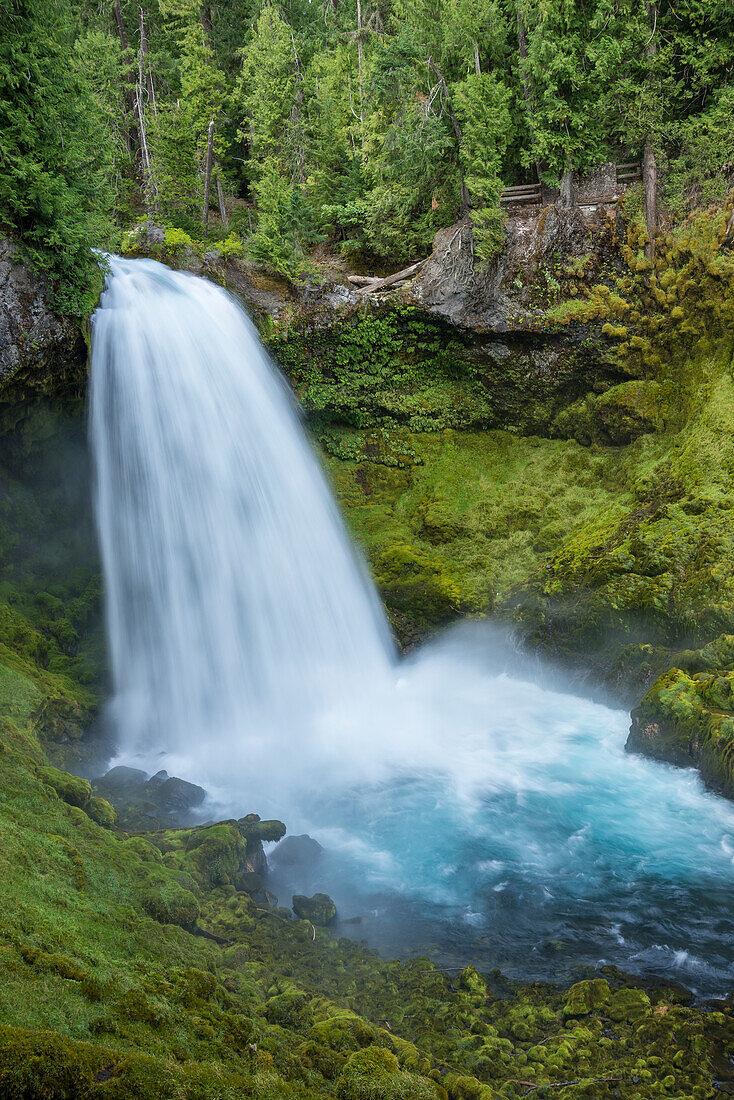 Sahalie Falls am McKenzie River, Willamette National Forest, Oregon.