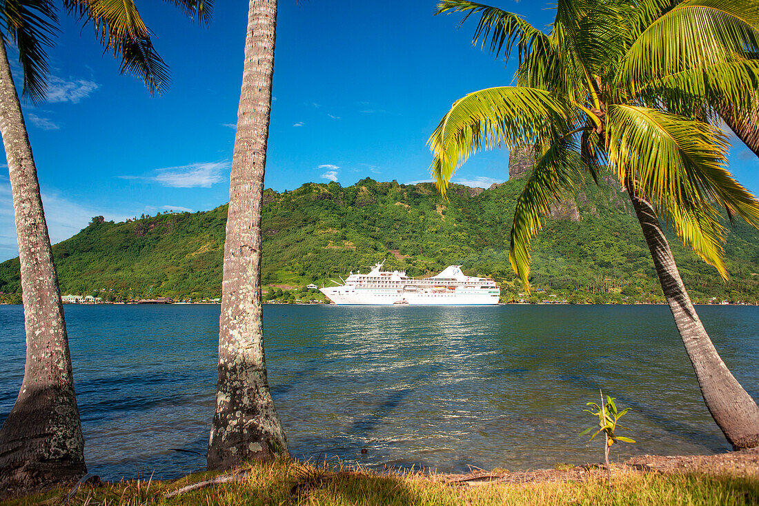 Paul Gauguin cruise anchored in Moorea, French Polynesia, Society Islands, South Pacific.