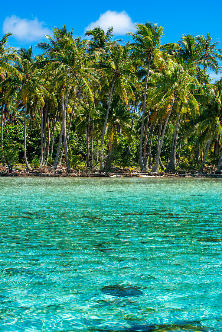 Tropisches Paradies am Meer Landschaft der Insel Taha'a, Französisch-Polynesien. Motu Mahana Palmen am Strand, Taha'a, Gesellschaftsinseln, Französisch-Polynesien, Südpazifik.