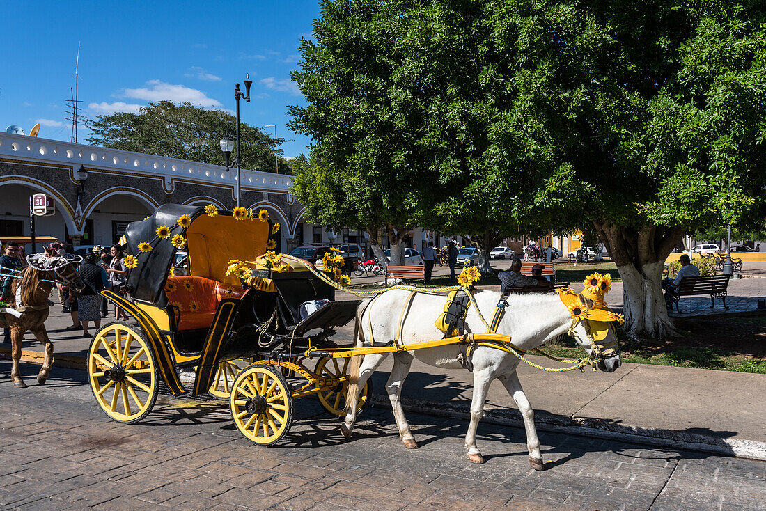 Pferdekutschen in Izamal, Yucatan, Mexiko, bekannt als die Gelbe Stadt. Die historische Stadt Izamal gehört zum UNESCO-Weltkulturerbe.