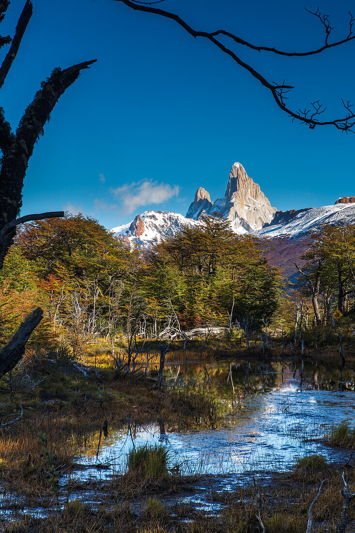 Mount Fitz Roy and Cerro Poincenot in Los Glaciares National Park, as seen from north of El Chalten, Argentina, in the Patagonia region of South America. A UNESCO World Heritage Site. In the foreground is a boggy pond in the valley of the Rio de las Vueltas.
