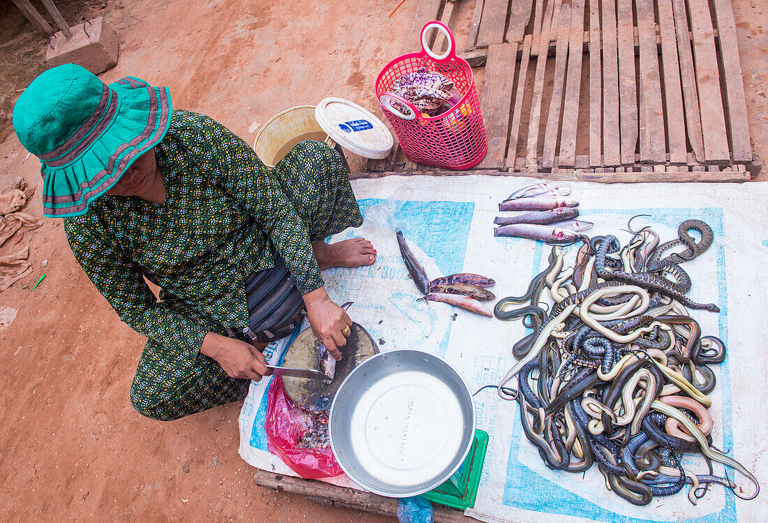 Cambodian woman selling snakes in a market in Siem Reap Cambodia