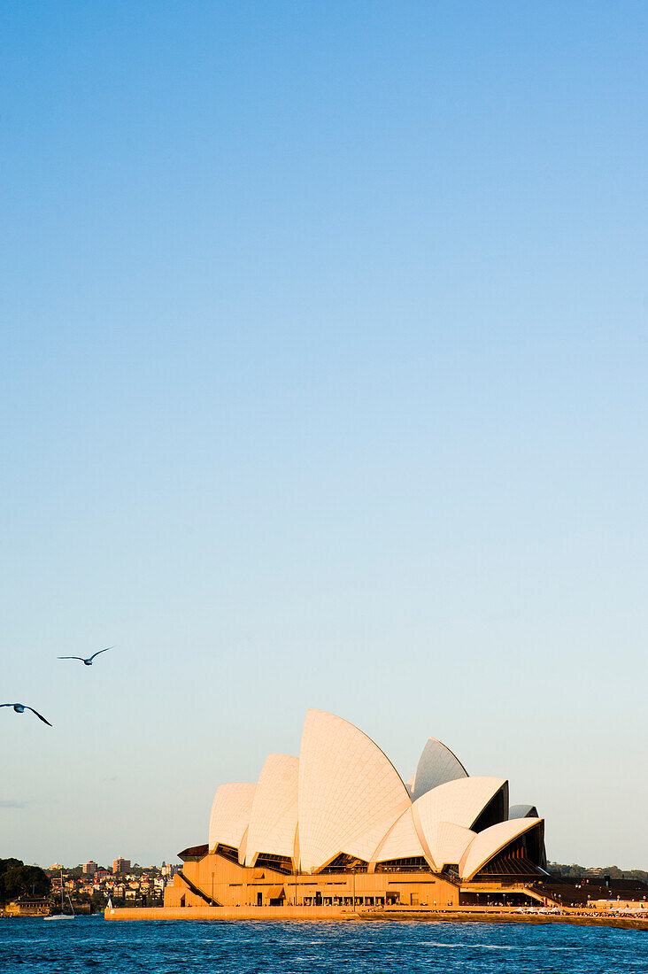 Foto des Opernhauses in Sydney, Australien. Das Opernhaus von Sydney, das 2007 von der UNESCO zum Weltkulturerbe erklärt wurde, liegt im Hafen von Sydney am Circular Quay und bietet einen fantastischen Blick auf die Sydney Harbour Bridge. Es wird für Konzerte, Theateraufführungen und als Aufnahmestudio genutzt, vor allem aber für Opern. Die Sydney Opera Bar im Schatten des Sydney Opera House ist ein lebhafter Ort, an dem man das beste Nachtleben Sydneys erleben kann.