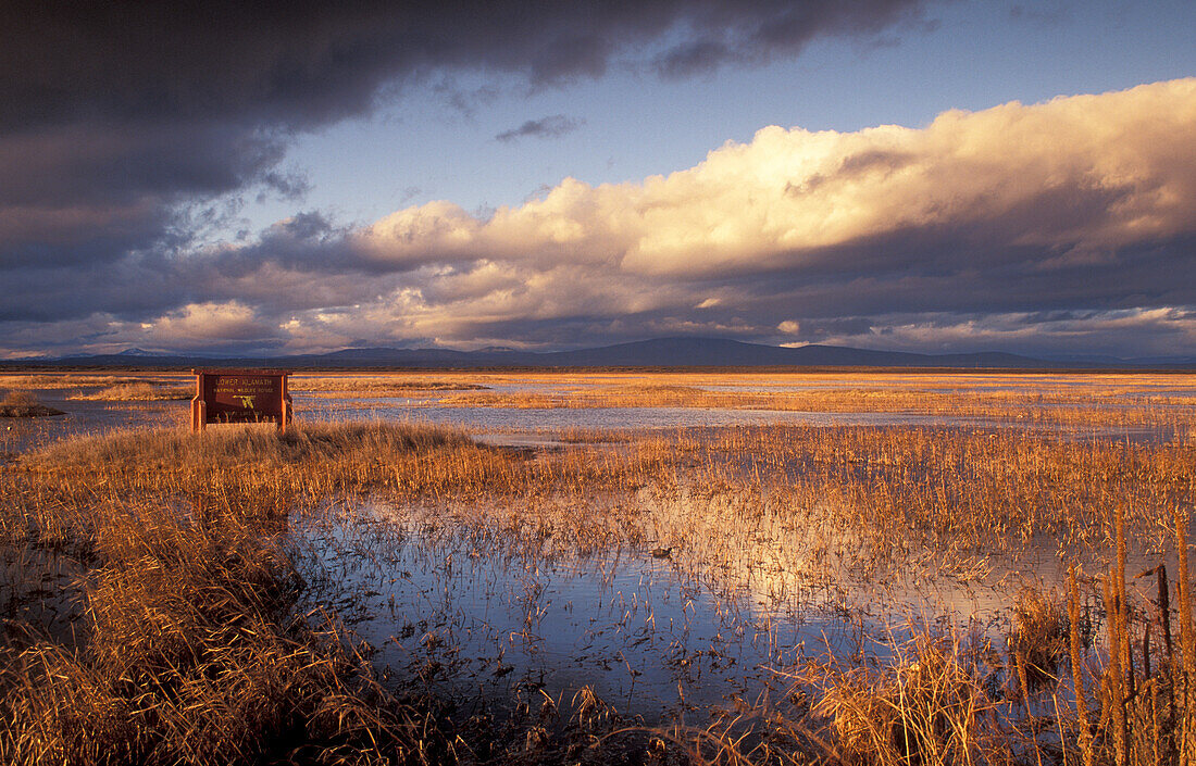 Lower Klamath National Wildlife Refuge, White Lake-Gebiet am Highway 161 an der Grenze zwischen Kalifornien und Oregon.