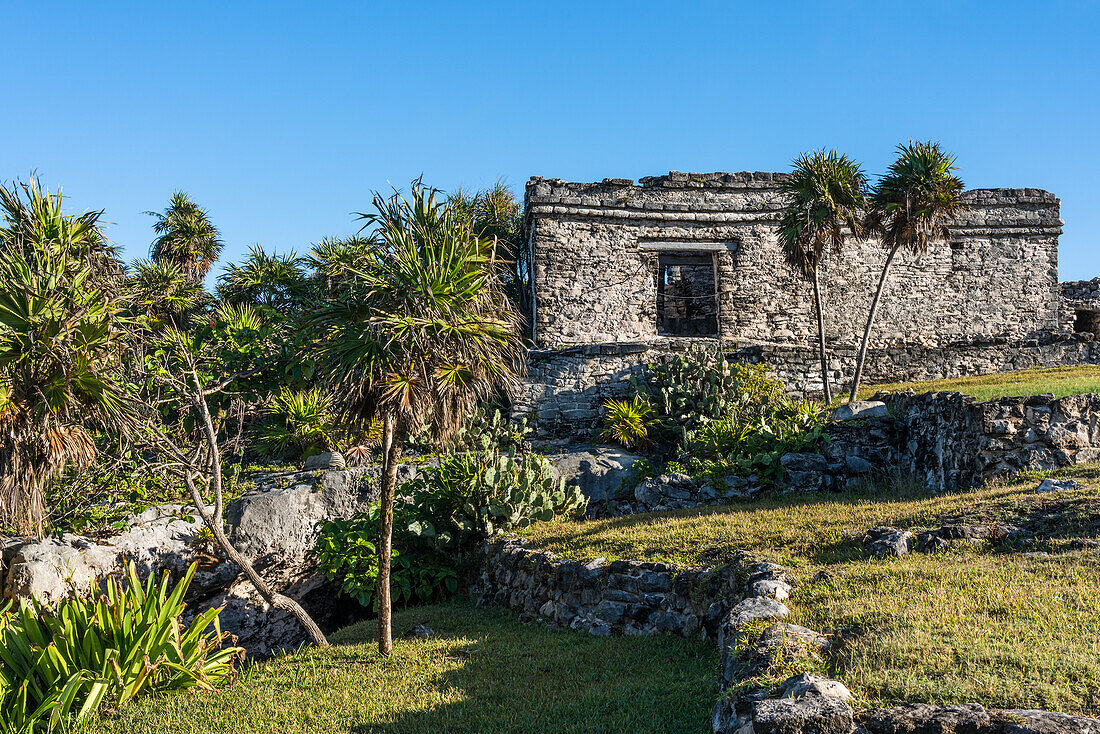 Das Haus der Cenote in den Ruinen der Maya-Stadt Tulum an der Küste des Karibischen Meeres. Tulum-Nationalpark, Quintana Roo, Mexiko. Es ist über einer Höhle oder Cenote gebaut, die Wasser enthält.