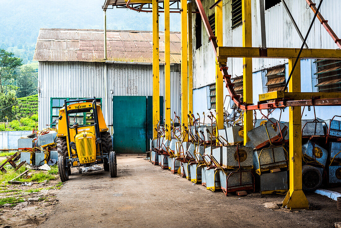 Tea estate factory, Munnar, Western Ghats Mountains, Kerala, India