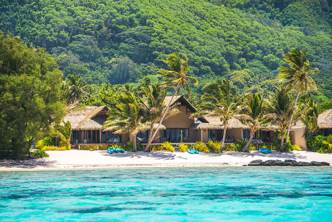 Luxusvilla und Hotelunterkunft auf der tropischen Insel Rarotonga, vom schönen kristallklaren Pazifischen Ozean aus gesehen, Cookinseln Hintergrund mit Kopierraum