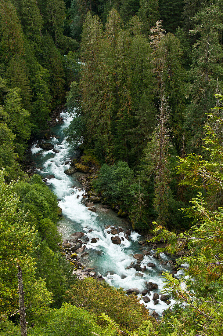 Cascade River, Mount Baker-Snoqualmie National Forest, North Cascades, Washington.