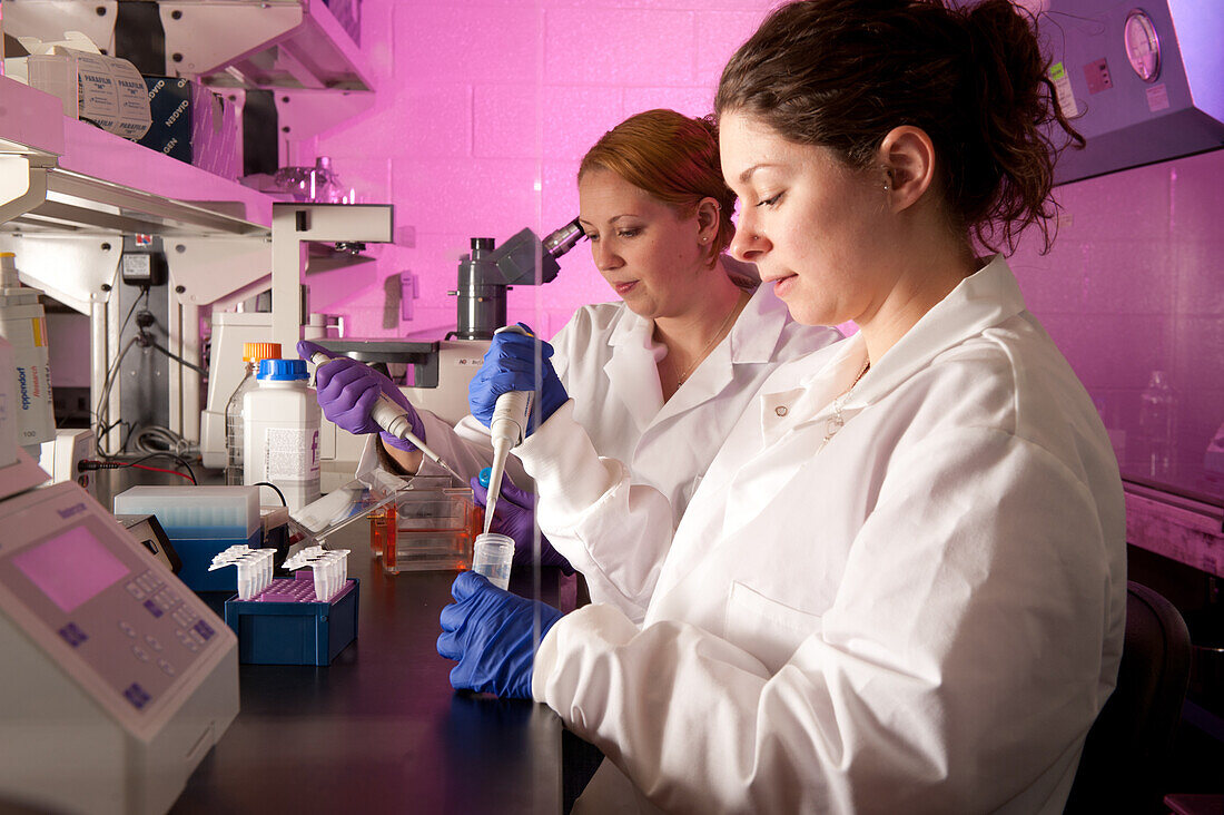 Scientists conducting an experiment in a laboratory