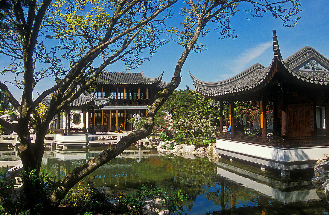 Lan Su Chinese Garden: Pavillions, Lake and Tea House; Portland, Oregon.
