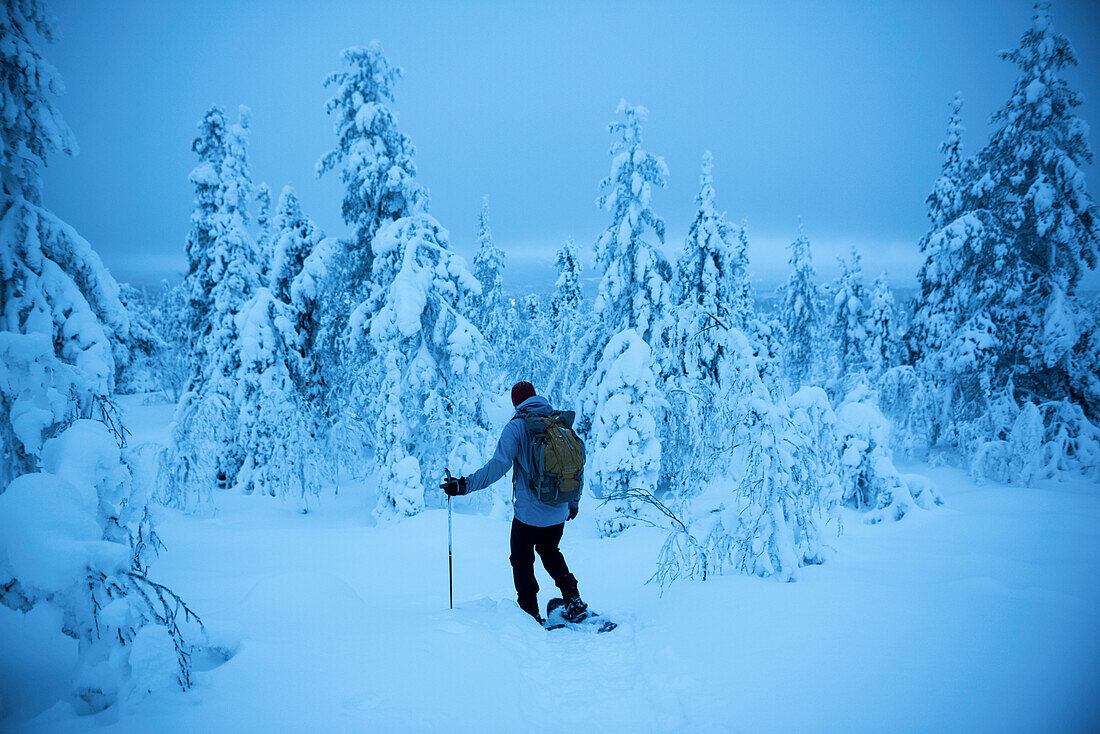 Snow shoeing in Pallas-Yllästunturi National Park, Lapland, Finland