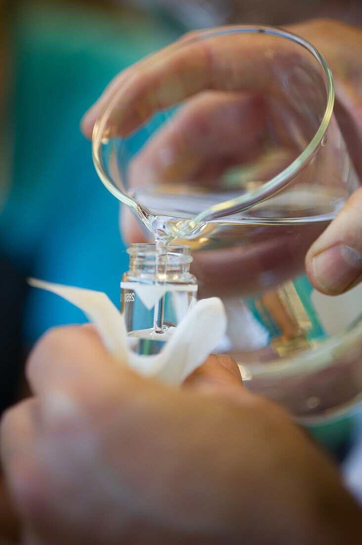 Hände gießen Wasser aus einem Becher in ein Reagenzglas im Labor des UMCP-Gewächshauses