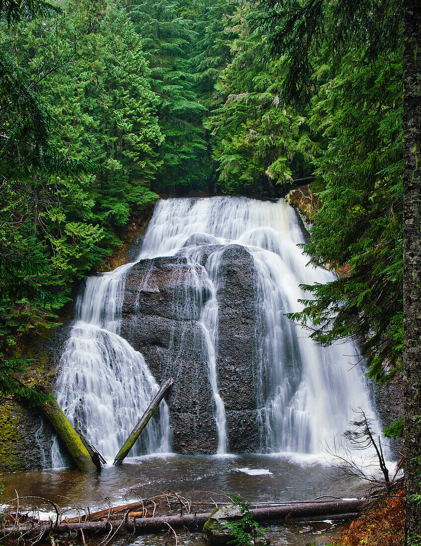 Langfield Falls, Mosquito Creek, Gifford Pinchot National Forest, Cascade Mountains, Washington.