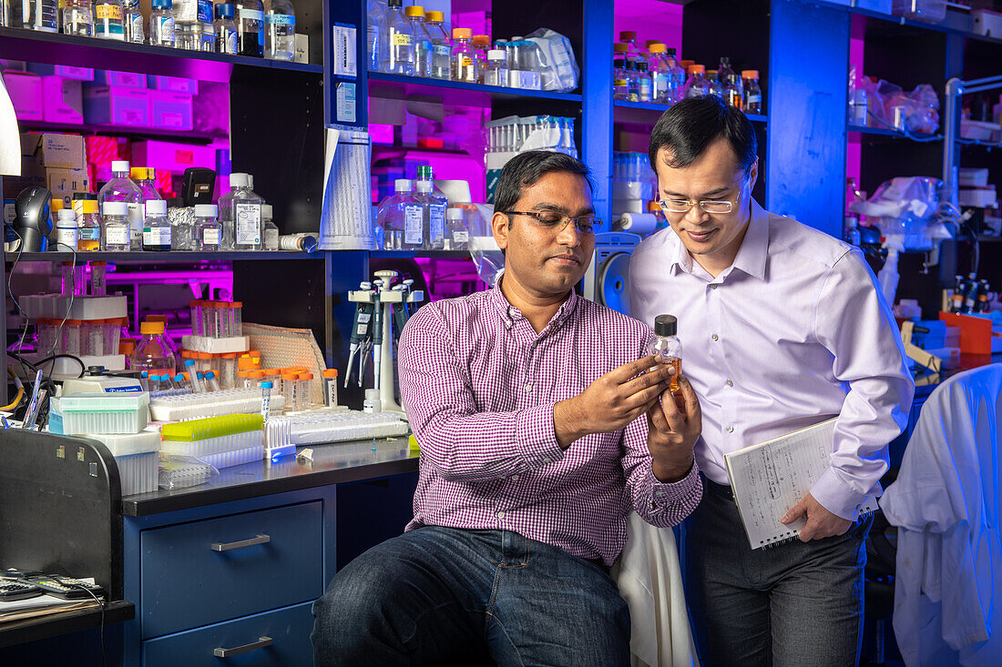Two men examine beaker together while in lab, Beltsville, MD