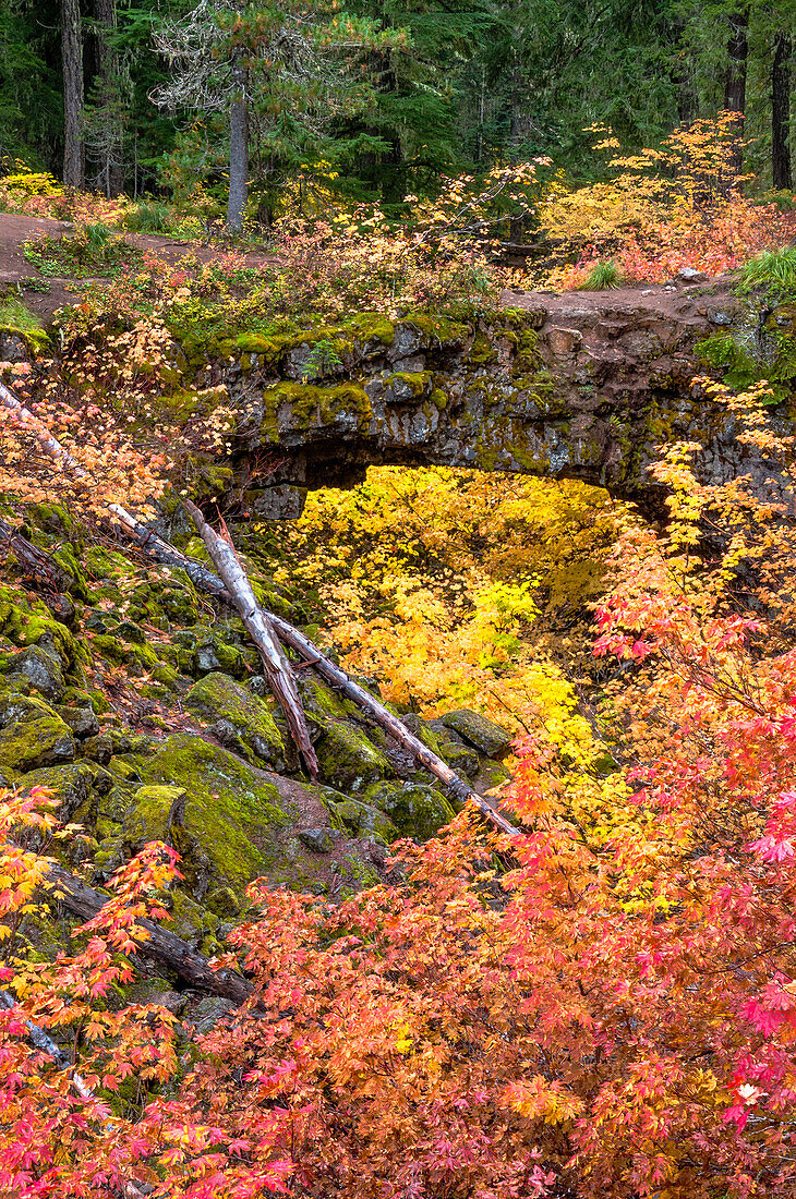 Natural Bridge Interpretive Site, Gifford Pinchot National Forest, Washington.