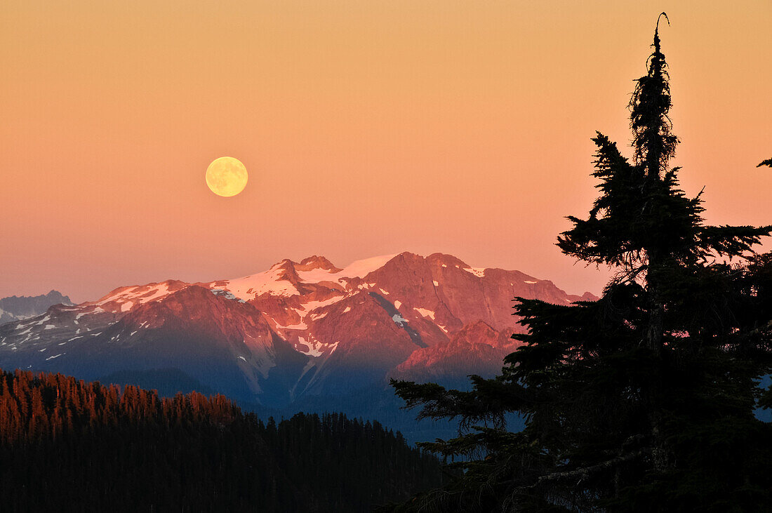 Der Vollmond geht über den North Cascades vom Park Butte Trail aus auf, Mount Baker-Snoqualmie National Forest, Washington.