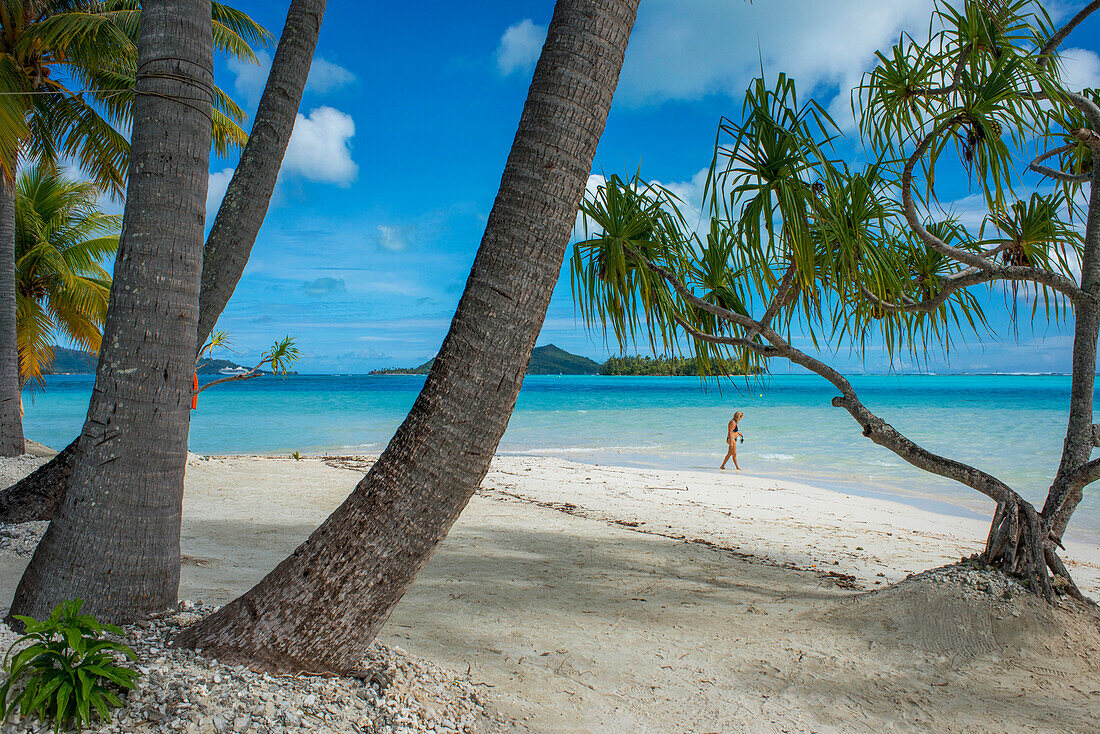 Beach of motu Tevairoa island, a little islet in the lagoon of Bora Bora, Society Islands, French Polynesia, South Pacific.