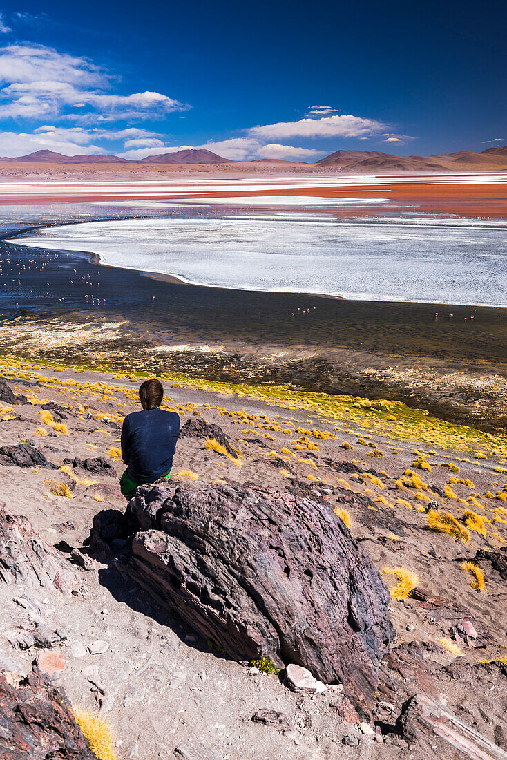 Tourist at Laguna Colorada (Red Lagoon), a salt lake in the Altiplano of Bolivia in Eduardo Avaroa Andean Fauna National Reserve