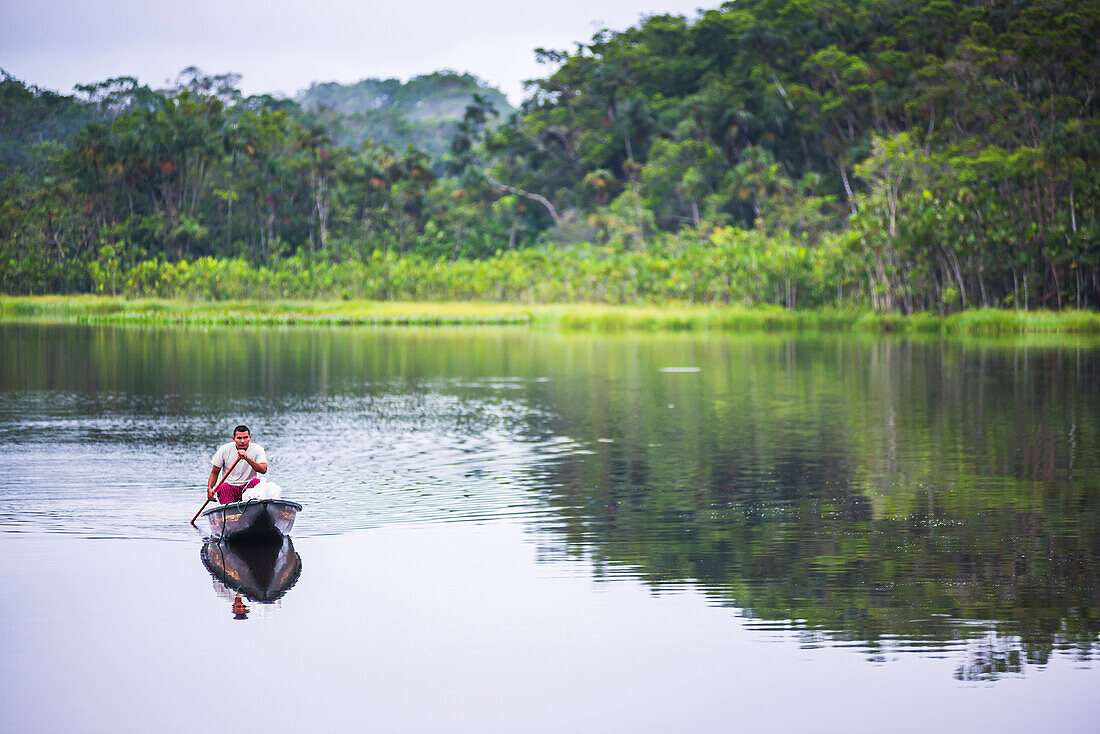 Dugout canoe boat ride in an Amazon Rainforest Lagoon at Sacha Lodge, Coca, Ecuador, South America