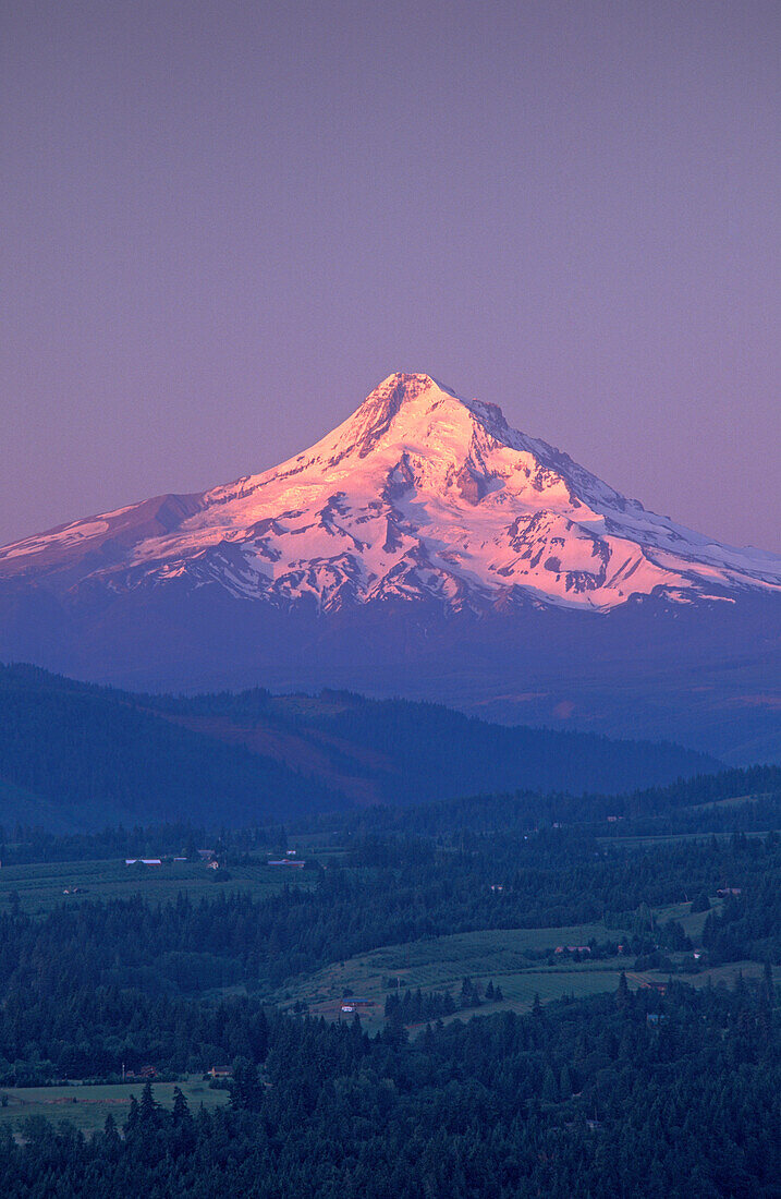 Mount Hood at sunrise and Hood River Valley farms & orchards; Oregon..