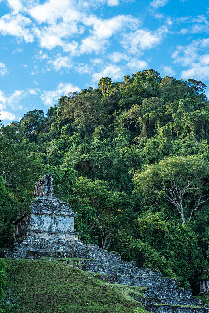 Der Kreuztempel in den Ruinen der Maya-Stadt Palenque, Palenque-Nationalpark, Chiapas, Mexiko. Eine UNESCO-Welterbestätte.