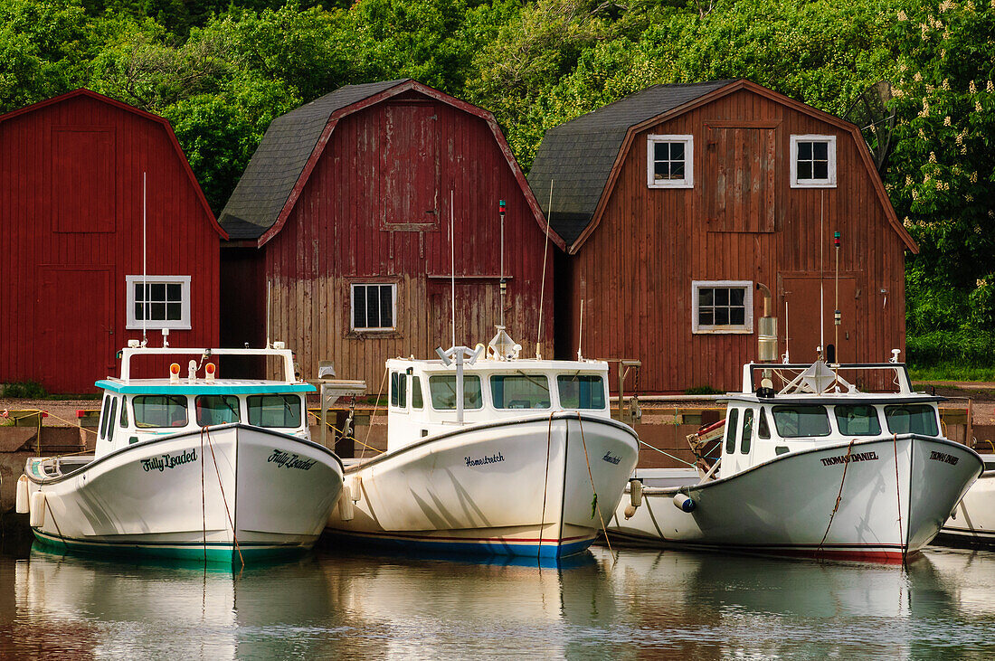 Fishing boats and fishermen???s storage buildings in Malpeque harbor; Prince Edward Island, Canada.