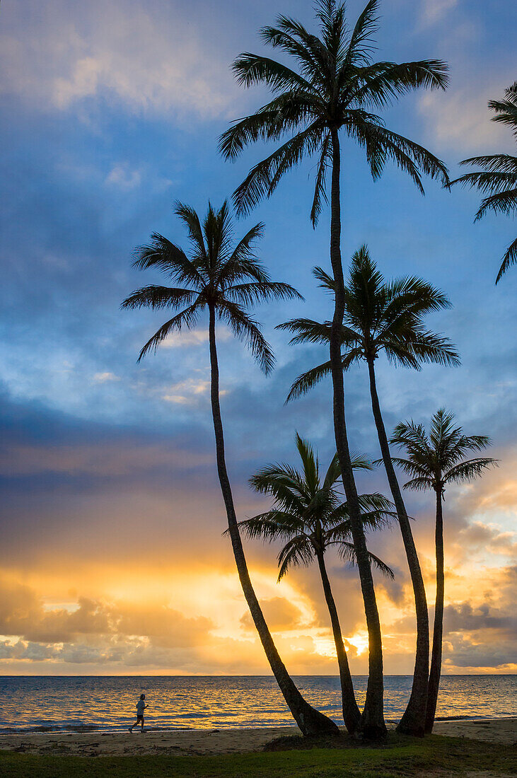 Joggende Frau und Kokosnusspalmen bei Sonnenaufgang; Punalu'u Beach Park, Windward Oahu, Hawaii.