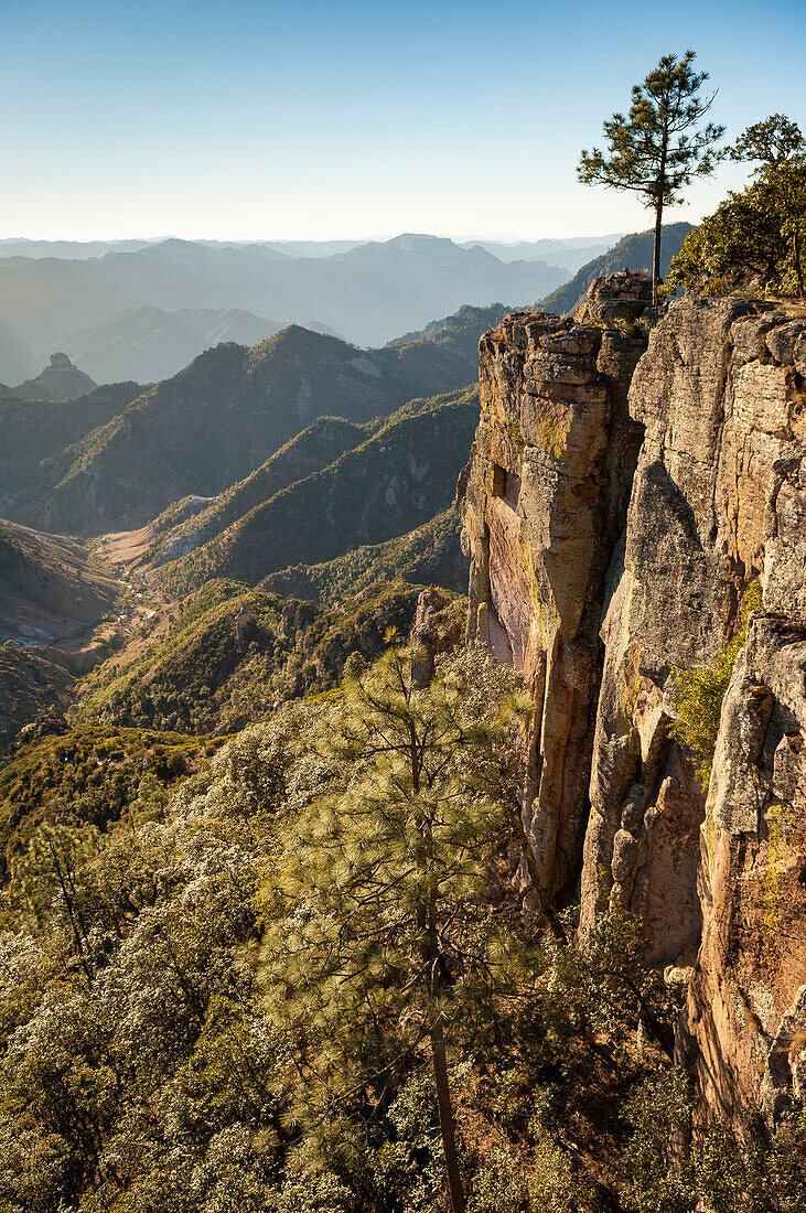 Copper Canyon near Barrancas, Chihuahua, Mexico.