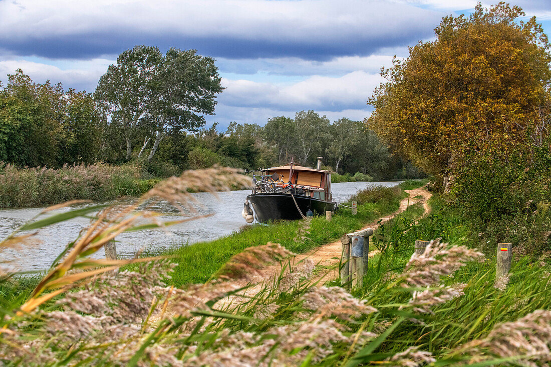 Der Canal du Midi, in der Nähe von Carcassonne, französisches Departement Aude, Region Occitanie, Languedoc-Rousillon Frankreich. Boote ankern auf dem von Bäumen gesäumten Kanal.