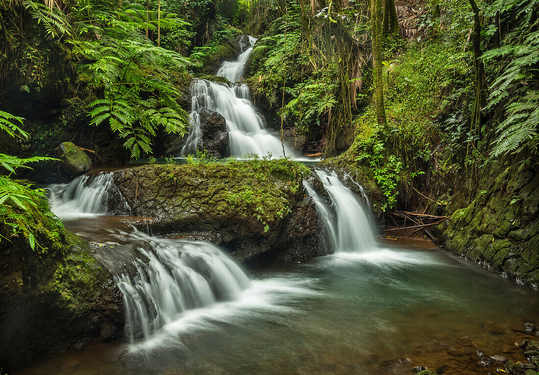 Waterfalls on Onomea Stream in Hawaii Tropical Botanical Garden near Hilo on the Big Island of Hawaii.