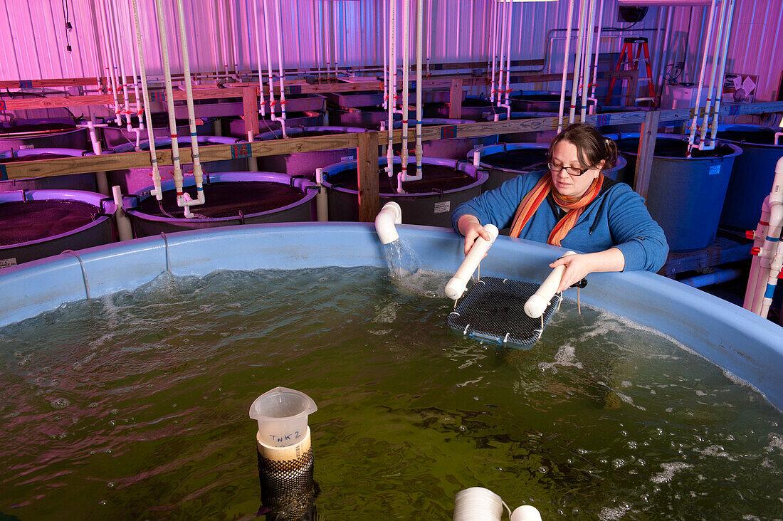 Woman conducting research in an aquaculture lab at Delaware State University