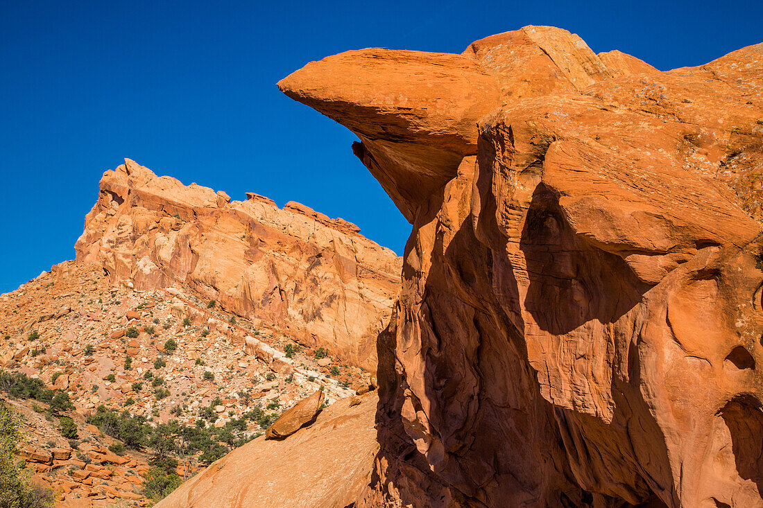 Eroded sandstone formations in Muley Twist Canyon in Capitol Reef National Park in Utah.