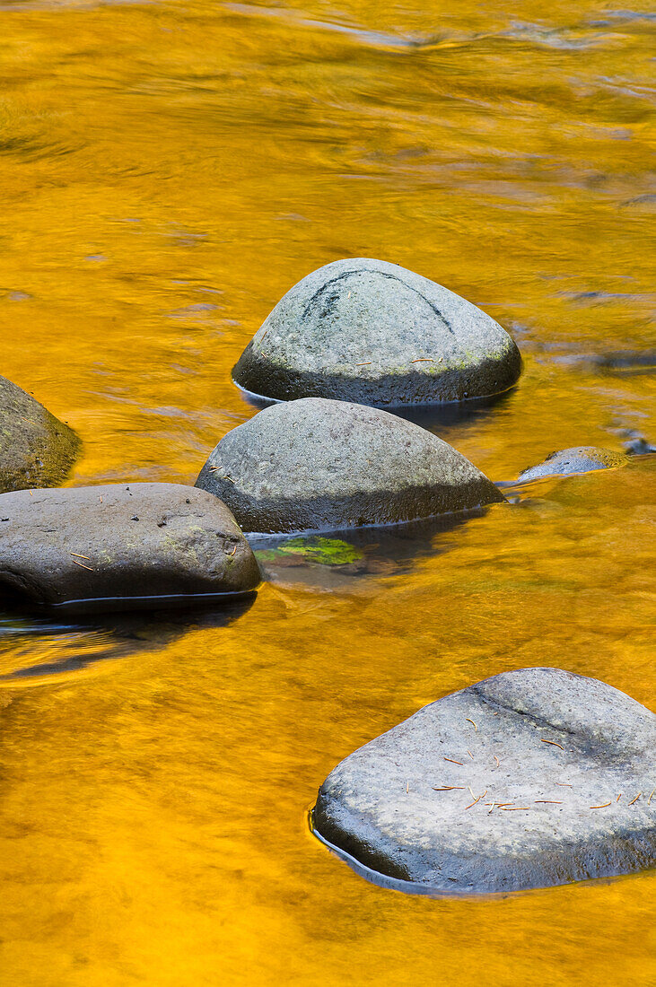 Spiegelungen der Herbstfärbung am Breitenbush River, Willamette National Forest, Oregon.