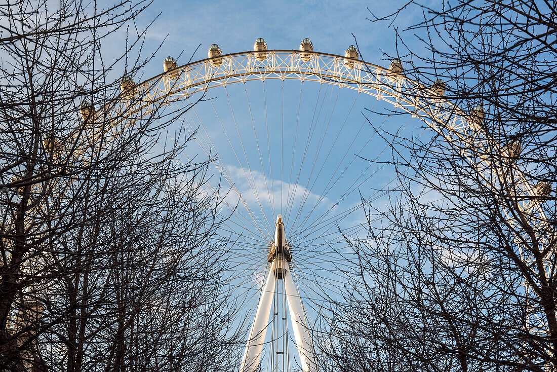 London Eye, London Borough of Lambeth, England, Vereinigtes Königreich