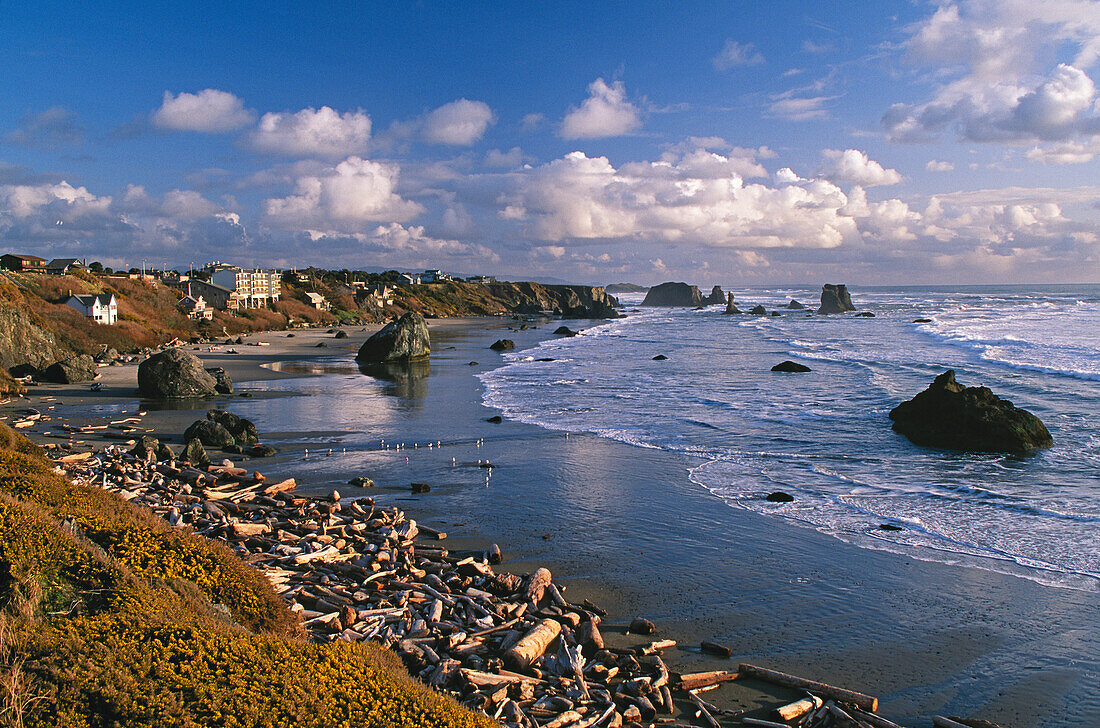 Bandon Beach vom Coquille Point aus gesehen, mit Felsvorsprüngen, Treibholz und Strandhäusern; Küste von Oregon.