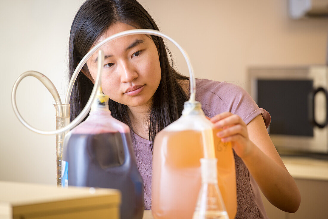 Junge asiatisch-amerikanische Frau konzentriert sich auf ein lebensmittelwissenschaftliches Experiment, College Park, Maryland