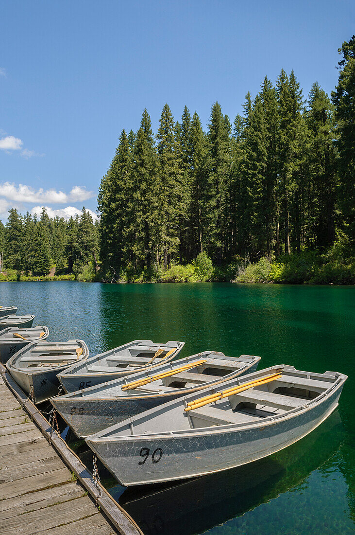 Ruderboote an der Anlegestelle des Clear Lake Resort, Cascade Mountains, Oregon.