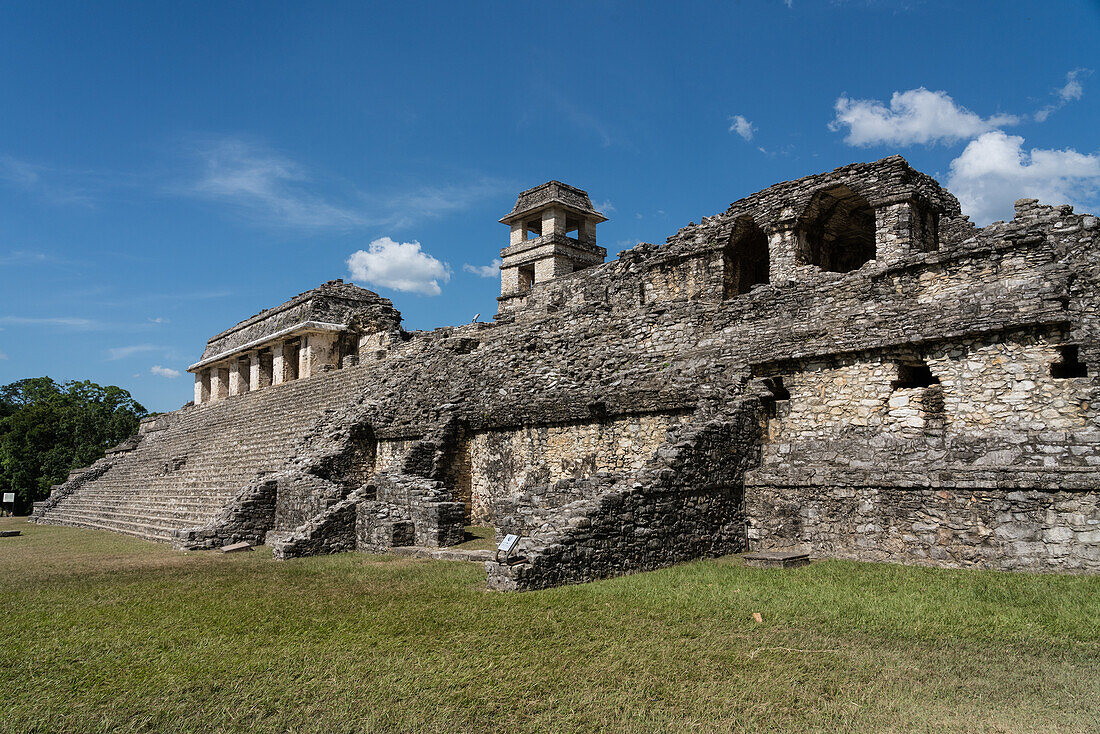 Der Palast mit seinem Turm in den Ruinen der Maya-Stadt Palenque, Palenque-Nationalpark, Chiapas, Mexiko. Ein UNESCO-Weltkulturerbe.