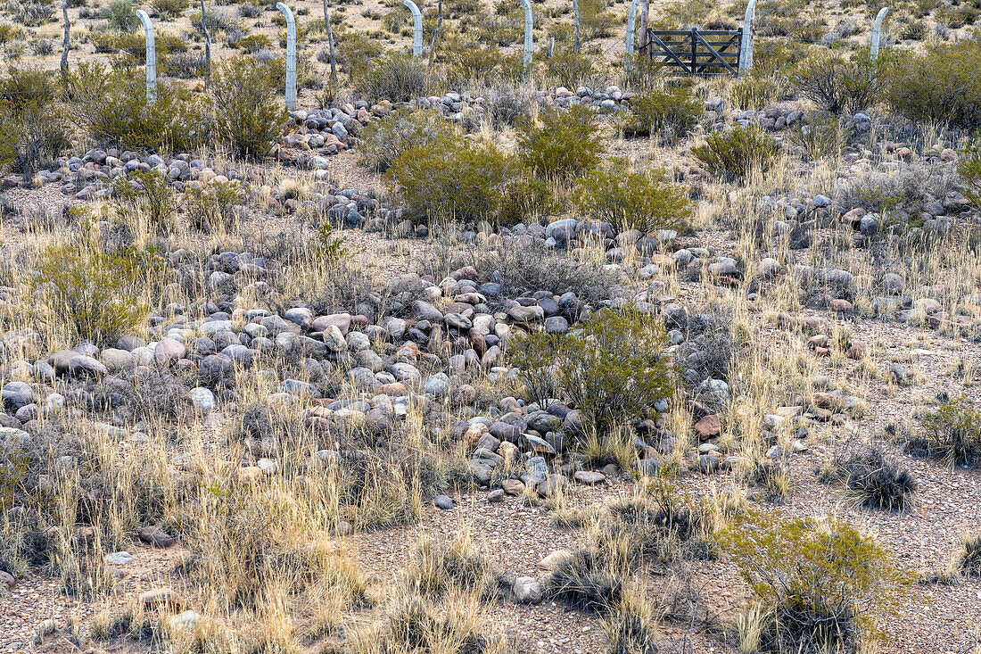 Die Steinruinen eines Inka-Tambos in Tambillos im Calingasta-Tal in der Provinz San Juan, Argentinien.