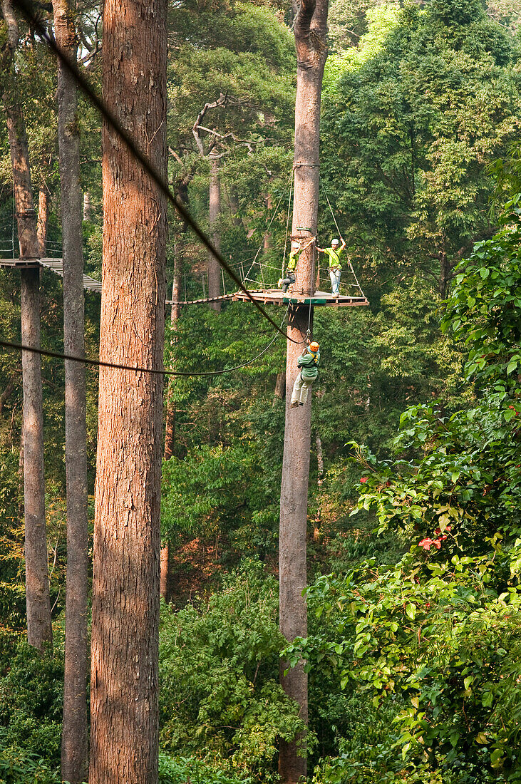 Jungle Flight - Seilrutsche und Rundflug durch den Wald, Chiang Mai, Thailand.