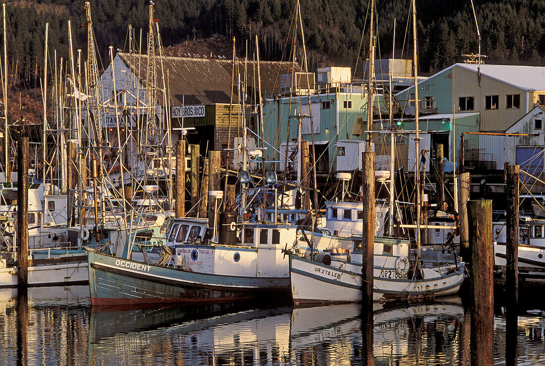 Fischerboote am Dock, Hafen von Garibaldi, Küste von Oregon.