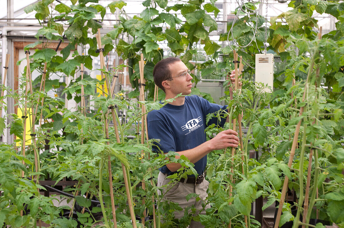 Horticulture researcher in a greenhouse