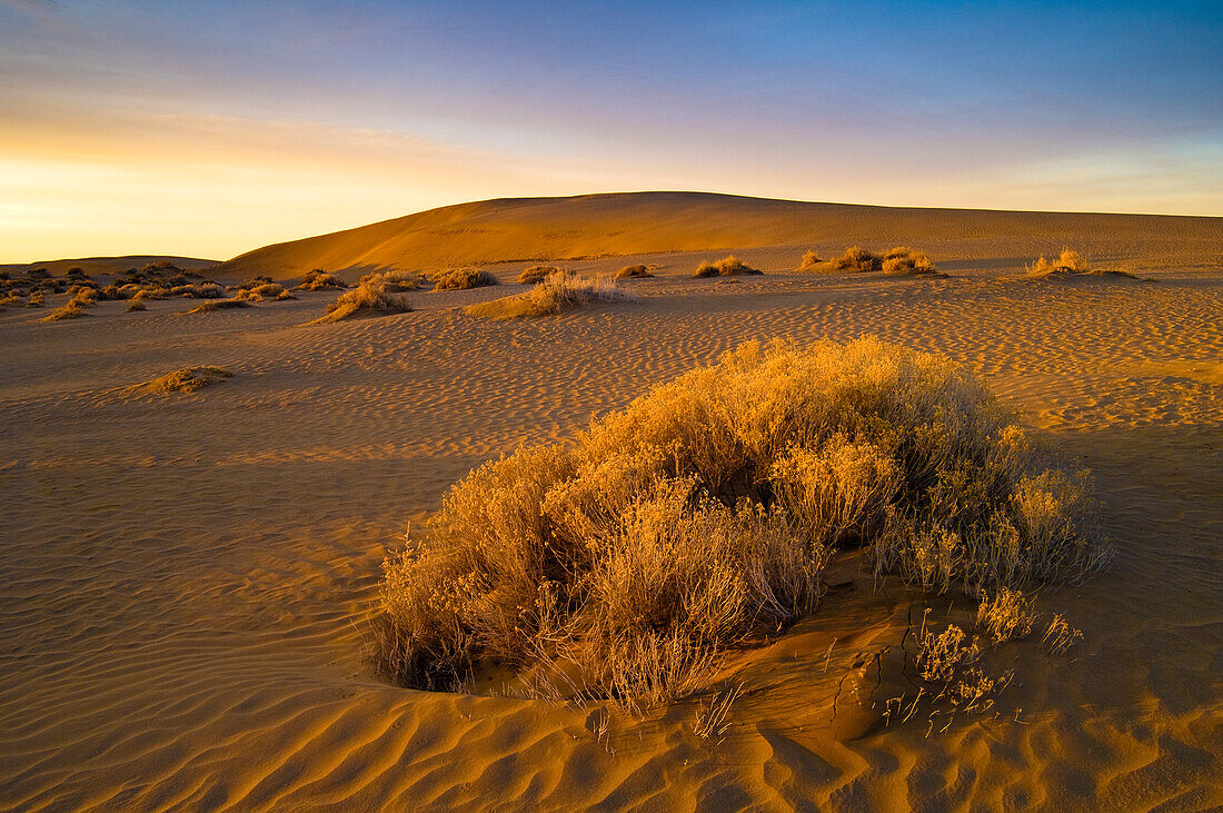 Sand dunes in Christmas Lake Valley, southeast Oregon.