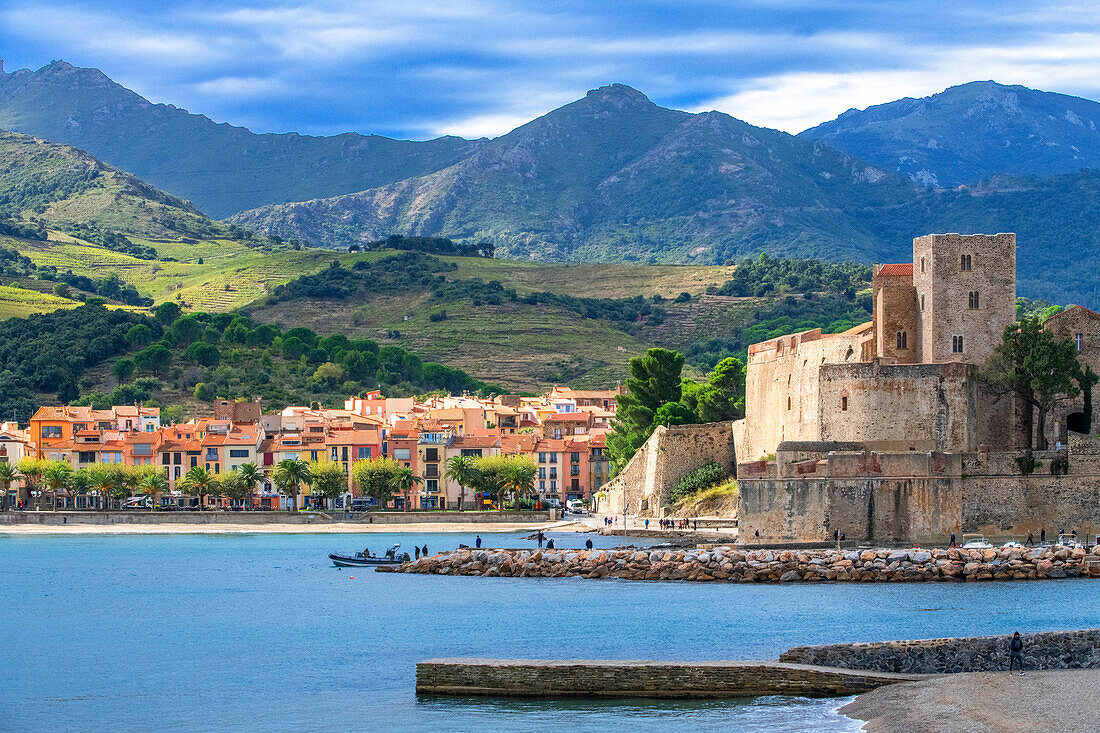 Königsschloss von Collioure und Strandlandschaft des malerischen Dorfes Colliure in der Nähe von Perpignan in Südfrankreich Languedoc-Roussillon Cote Vermeille Midi Pyrenees Occitanie Europa