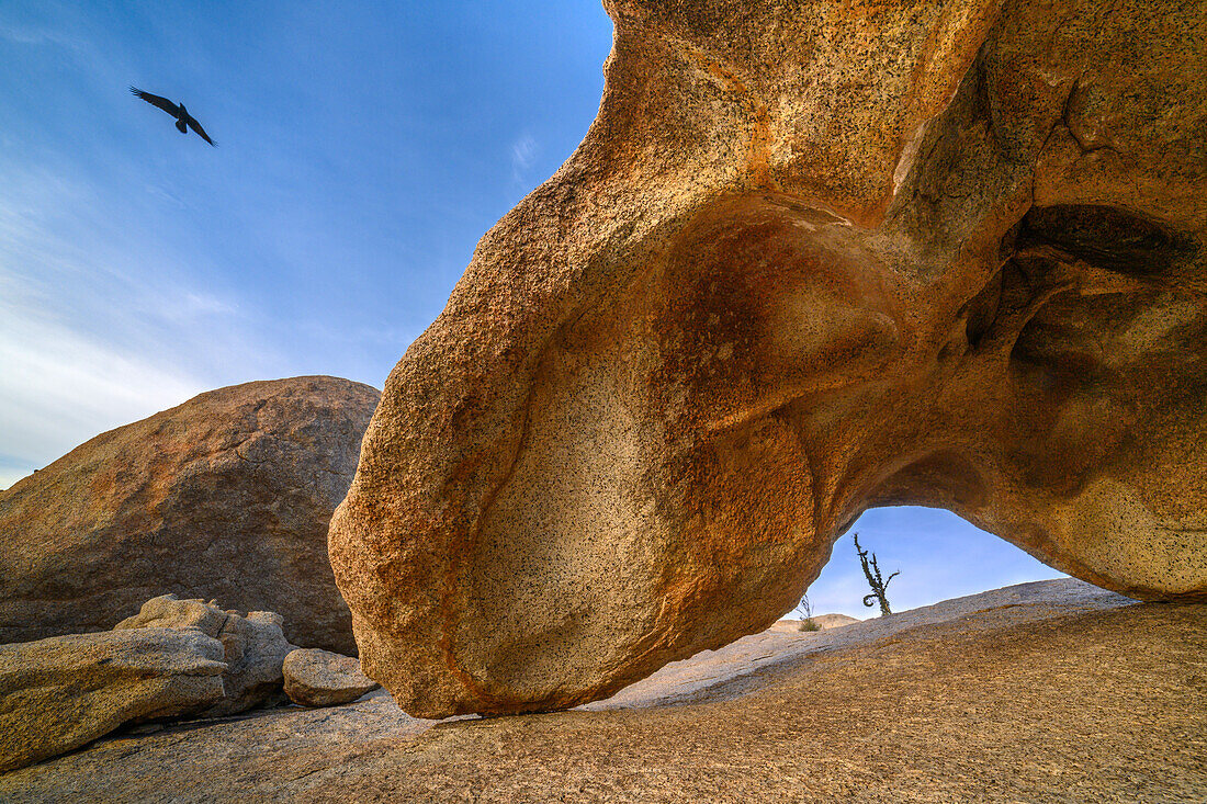 Felsformation und Rabe im Geröllfeld der Cataviña-Wüste, Baja California, Mexiko.