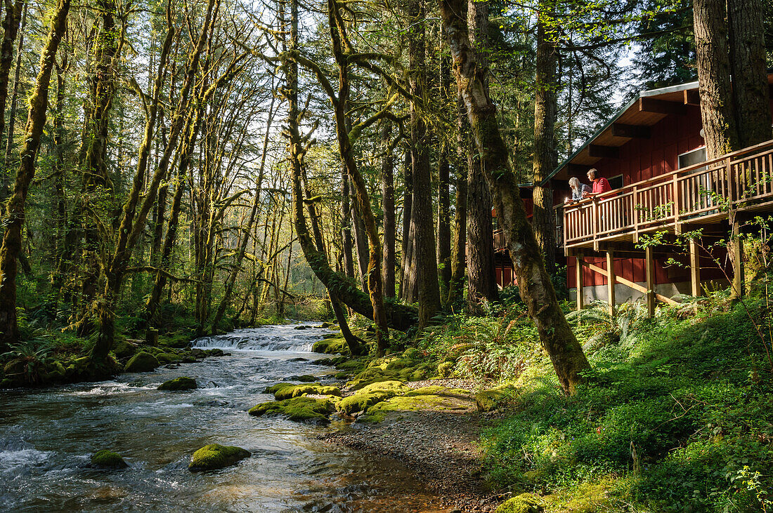 Hütte am Marten Creek im Wayfarer Resort, McKenzie River, Oregon.