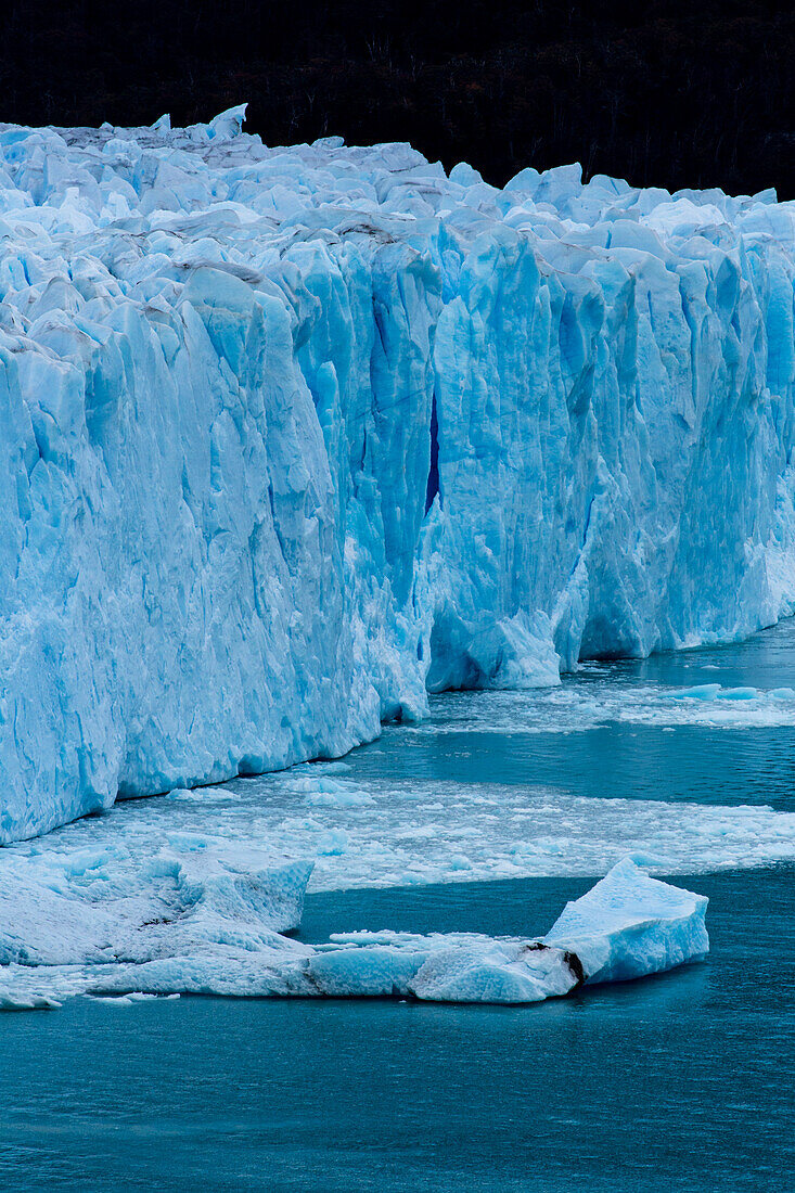 The jagged face of Perito Moreno Glacier and Lago Argentino in Los Glaciares National Park near El Calafate, Argentina. A UNESCO World Heritage Site in the Patagonia region of South America. Icebergs from calving ice from the glacier float in the lake.