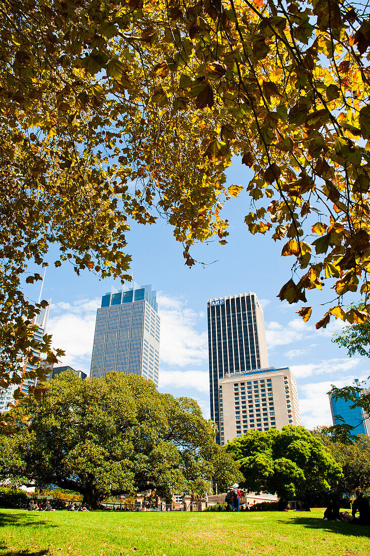 Hochhaus-Bürogebäude von Sydney Royal Botanic Gardens, New South Wales, Australien