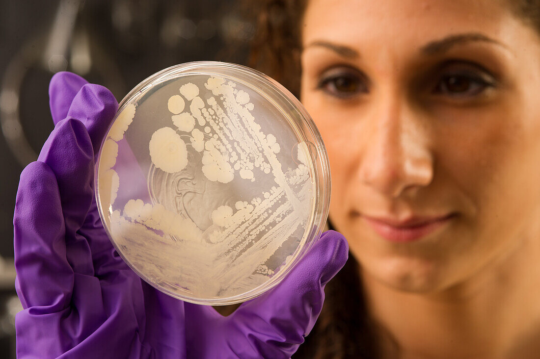 Woman with an experiment in a food lab – License image – 13848667 ...