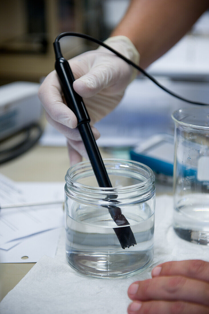 Hand mit Latexhandschuh beim Testen von Wasser mit einem Instrument im Labor des UMCP-Gewächshauses